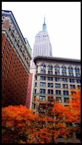 fall surrounded by / an empire state of mind / amazing new york © rashesh jethi